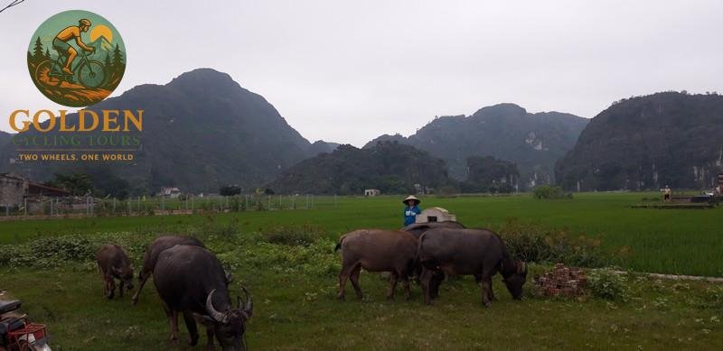 15 Days Hanoi to Hue Coastal Cycling Tour